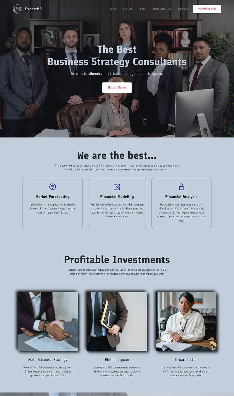 Business Strategy Consultants