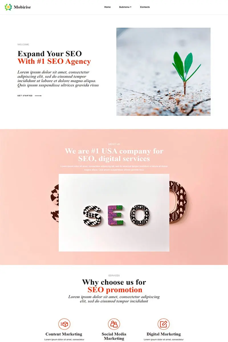 SEO Agency