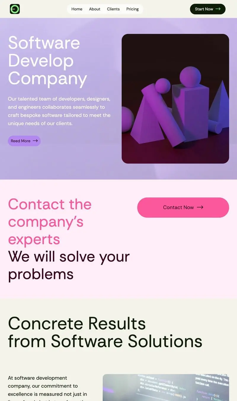 Software Development Company