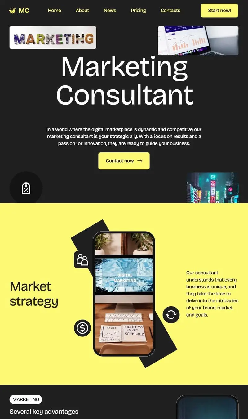 Marketing Consultant