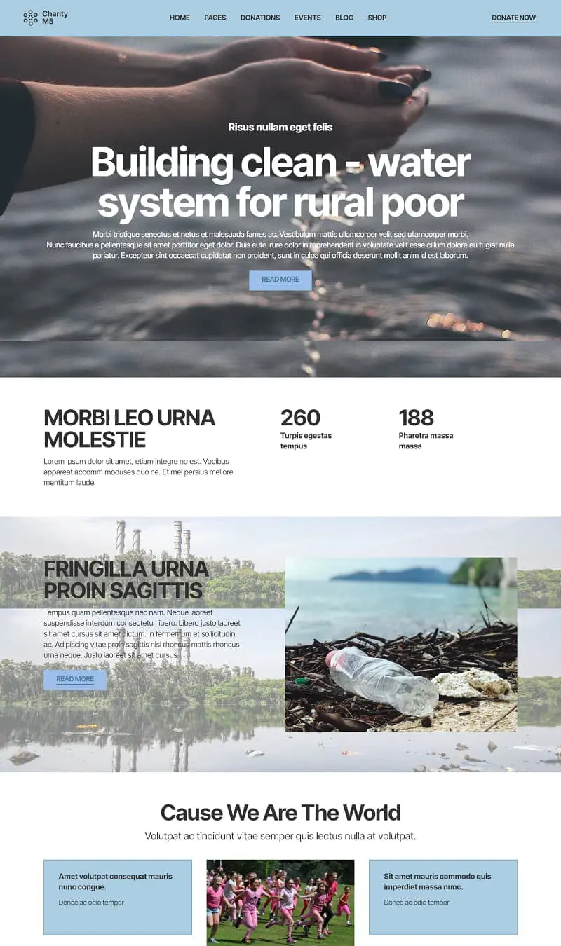 Non Governmental Organization