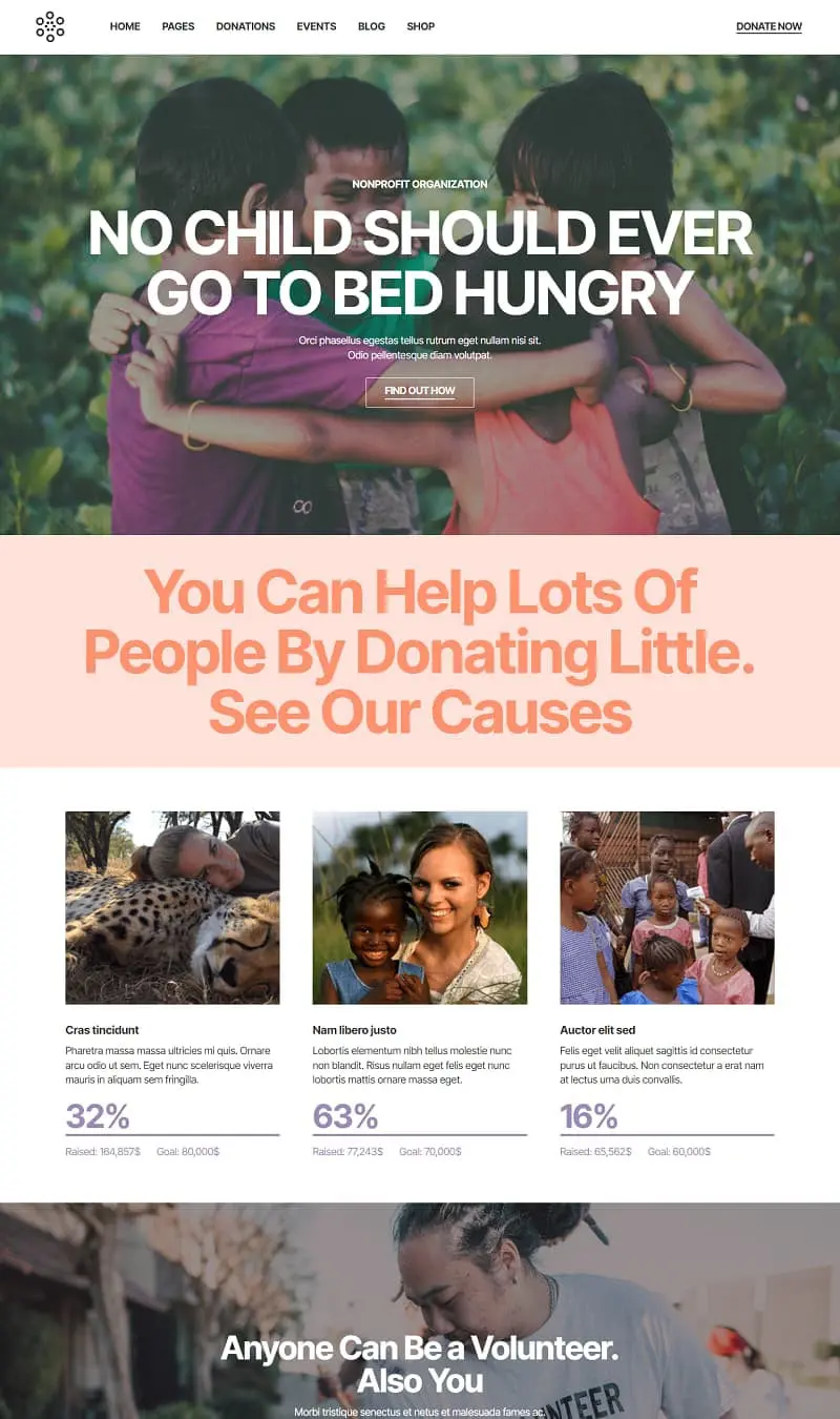 Non Profit Organization