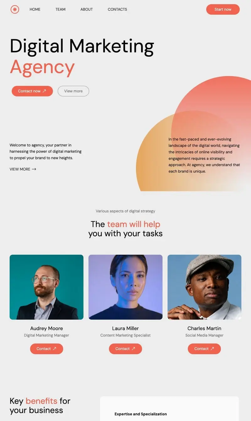 Digital Marketing Agency